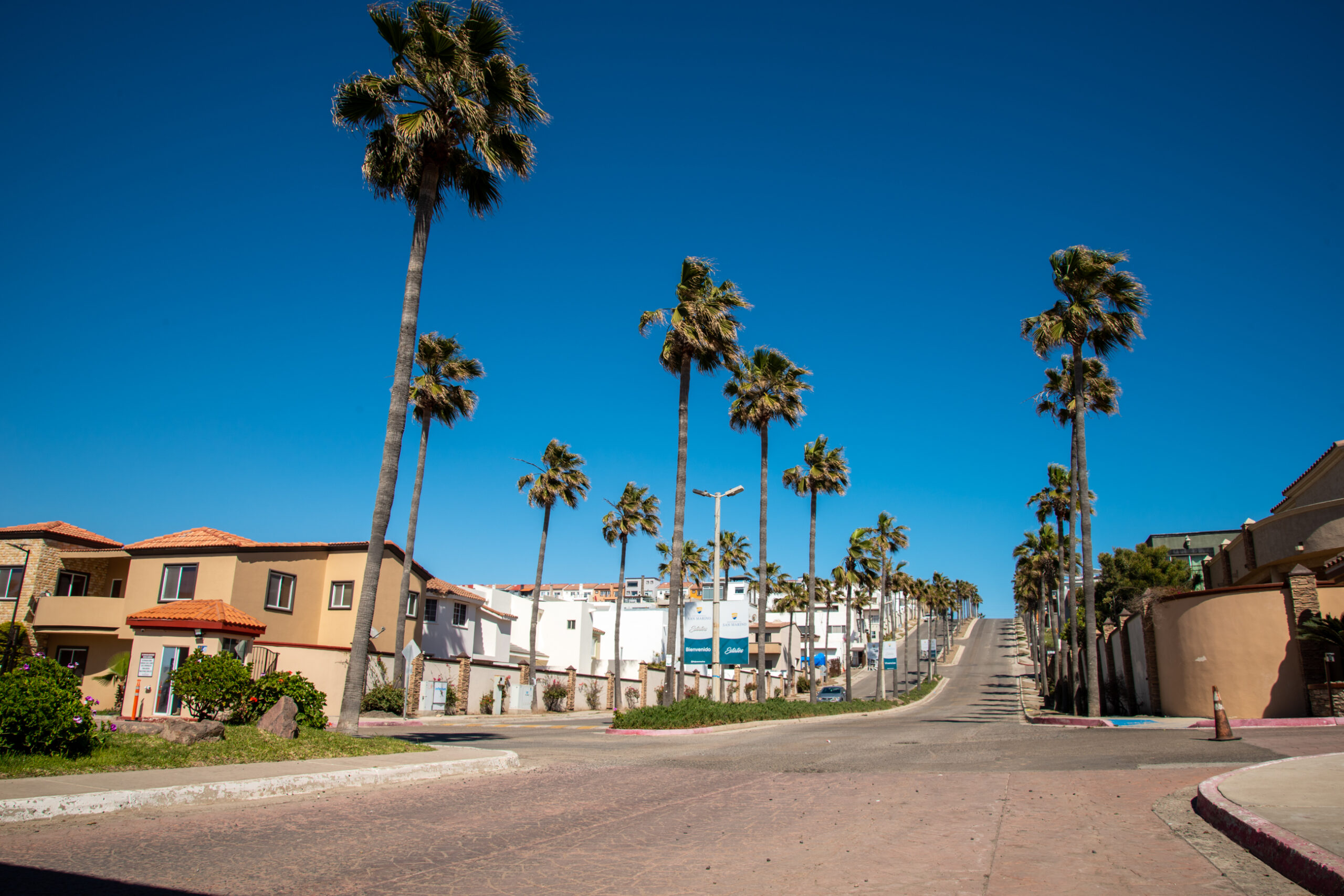 Calle en subida con palmeras en Rosarito, Baja California Calle con Palmeras en Rosarito, Baja California