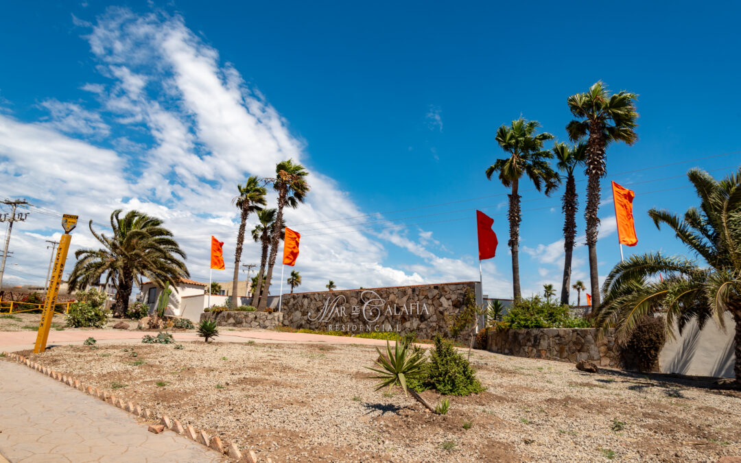 Elementos que pueden aumentar la plusvalía de tu casa y terreno